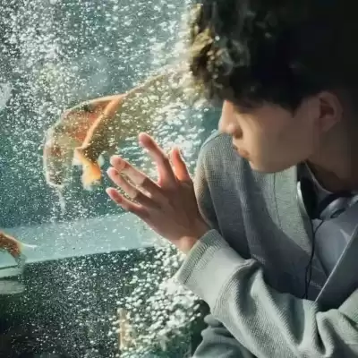 郑淑琳